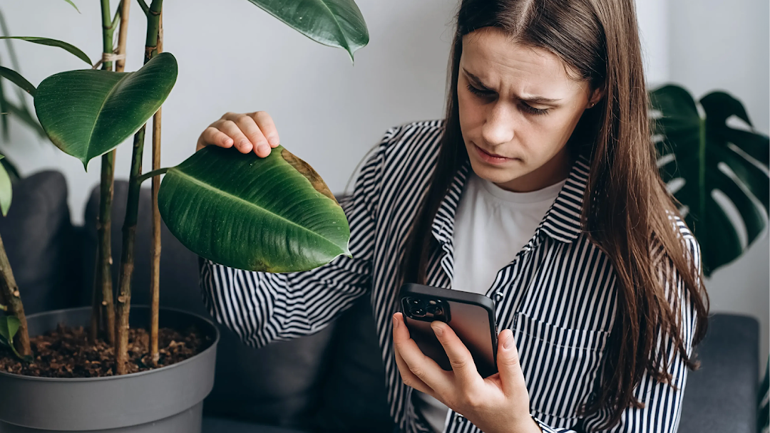 Planta: AI Plant & Garden Care mod apk screenshot 8