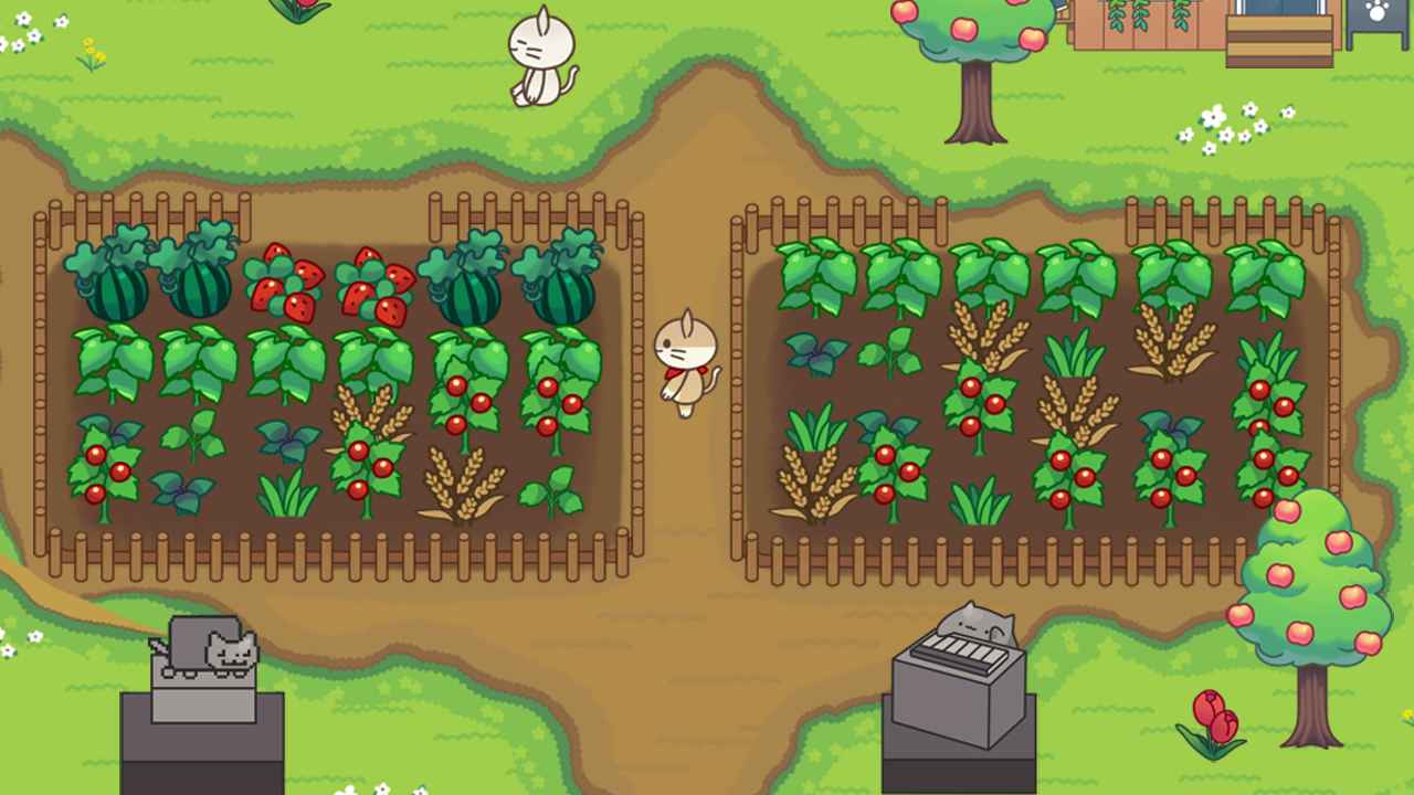 Cat Forest mod apk screenshot