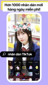 Download TikTok MOD APK 2026